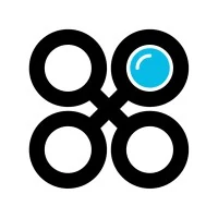 Bold Insight logo